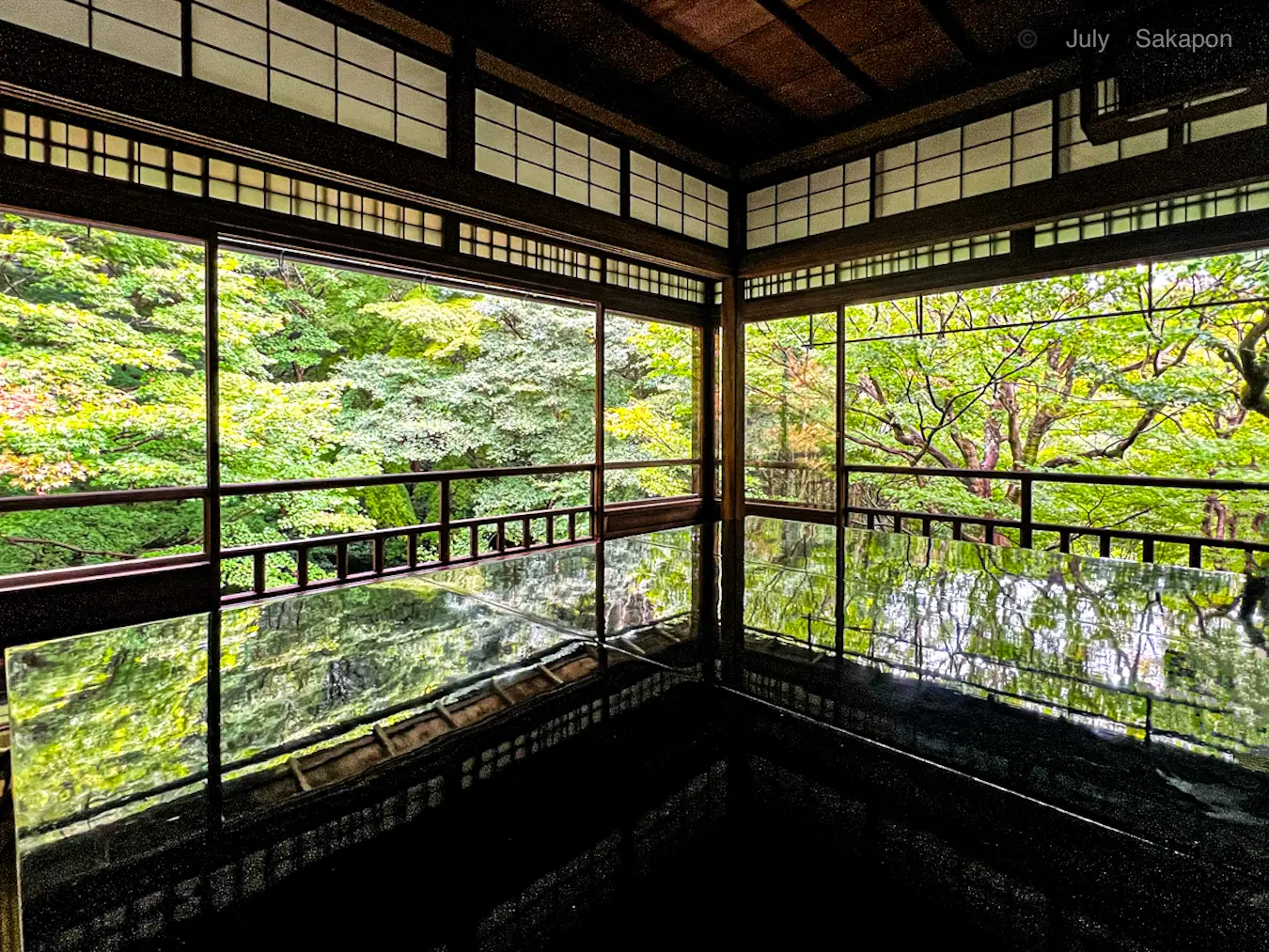 【京都】紅葉パトロール🍁瑠璃光院🍁秋の特別拝観_1_4