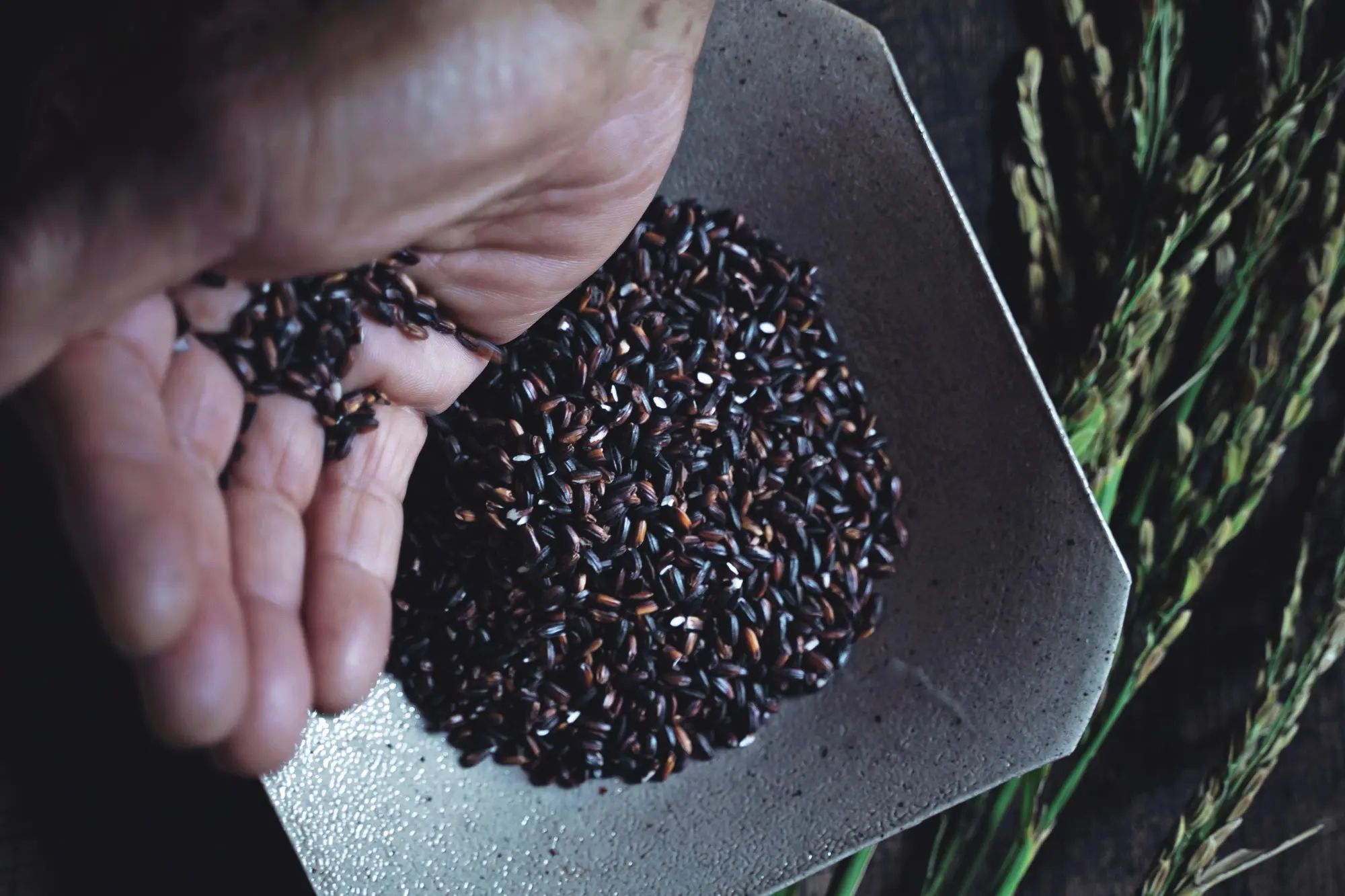 FAS　キー成分　黒米発酵液　丹後の黒米と日本有数の老舗麴屋「秋田今野商店」が１万種の中からアルコールを作らない酵母を選びぬき、２段階発酵を経てたどりついた