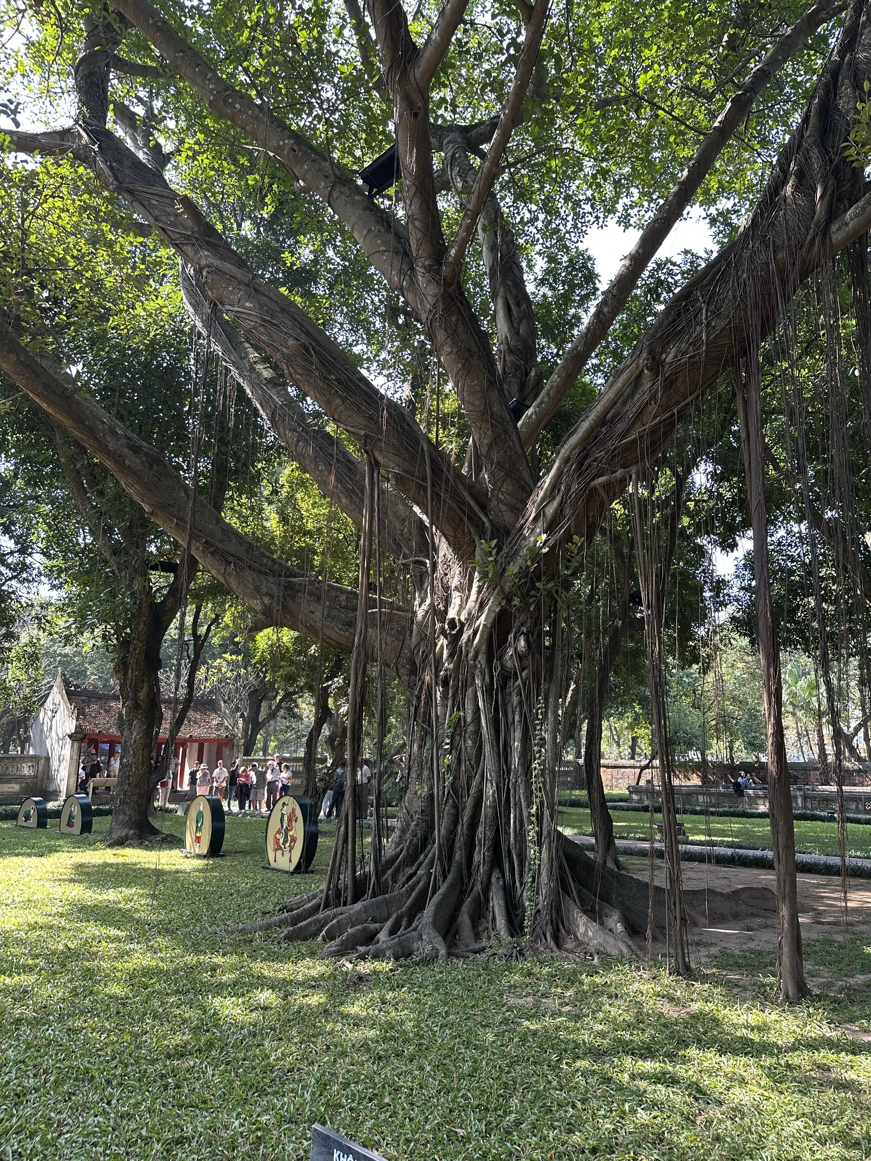 文廟　ベトナム　ハノイ　お札の絵柄