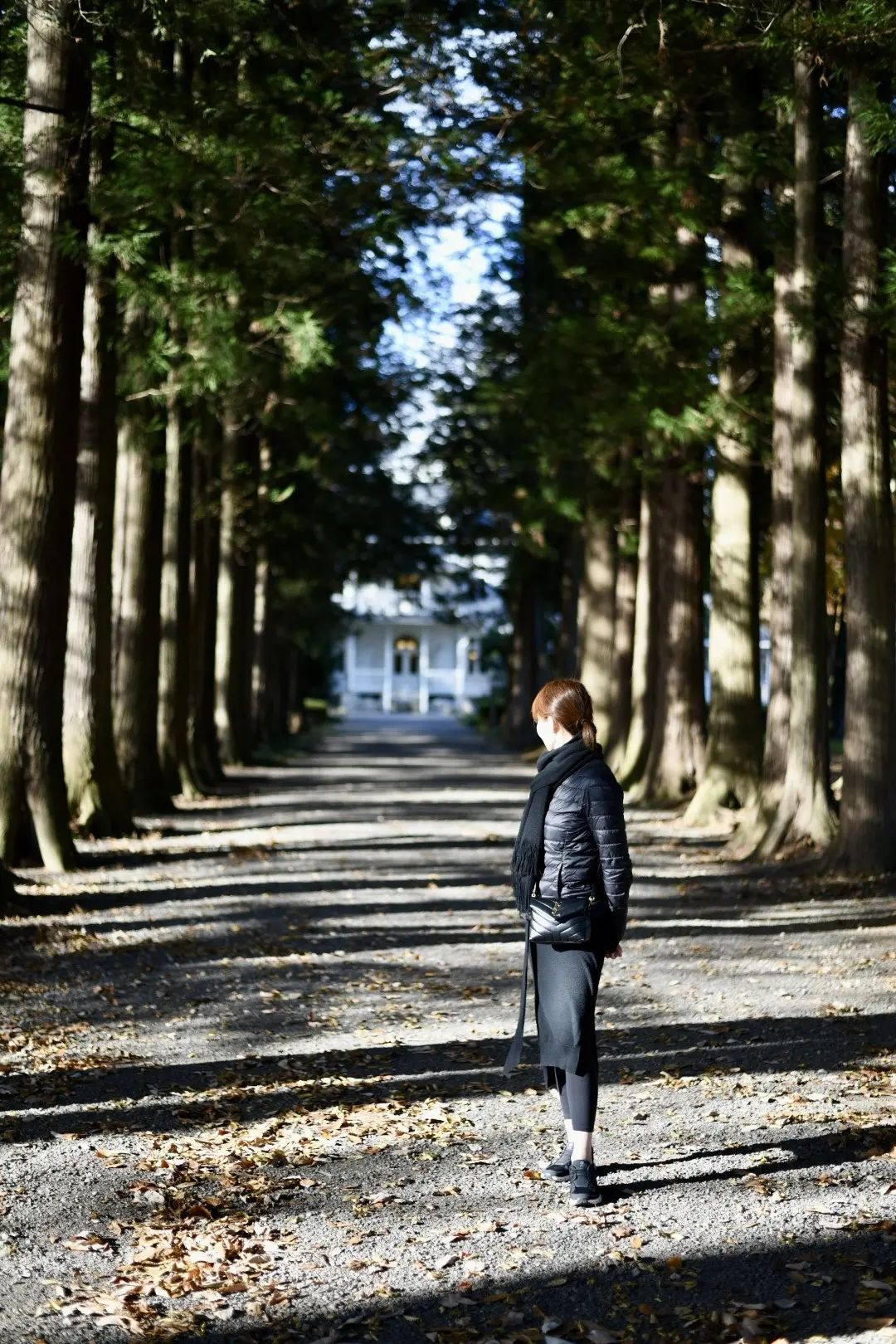 晩秋の那須高原へ紅葉狩りに_1_1