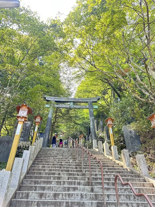 奥多摩プチトリップ_1_11