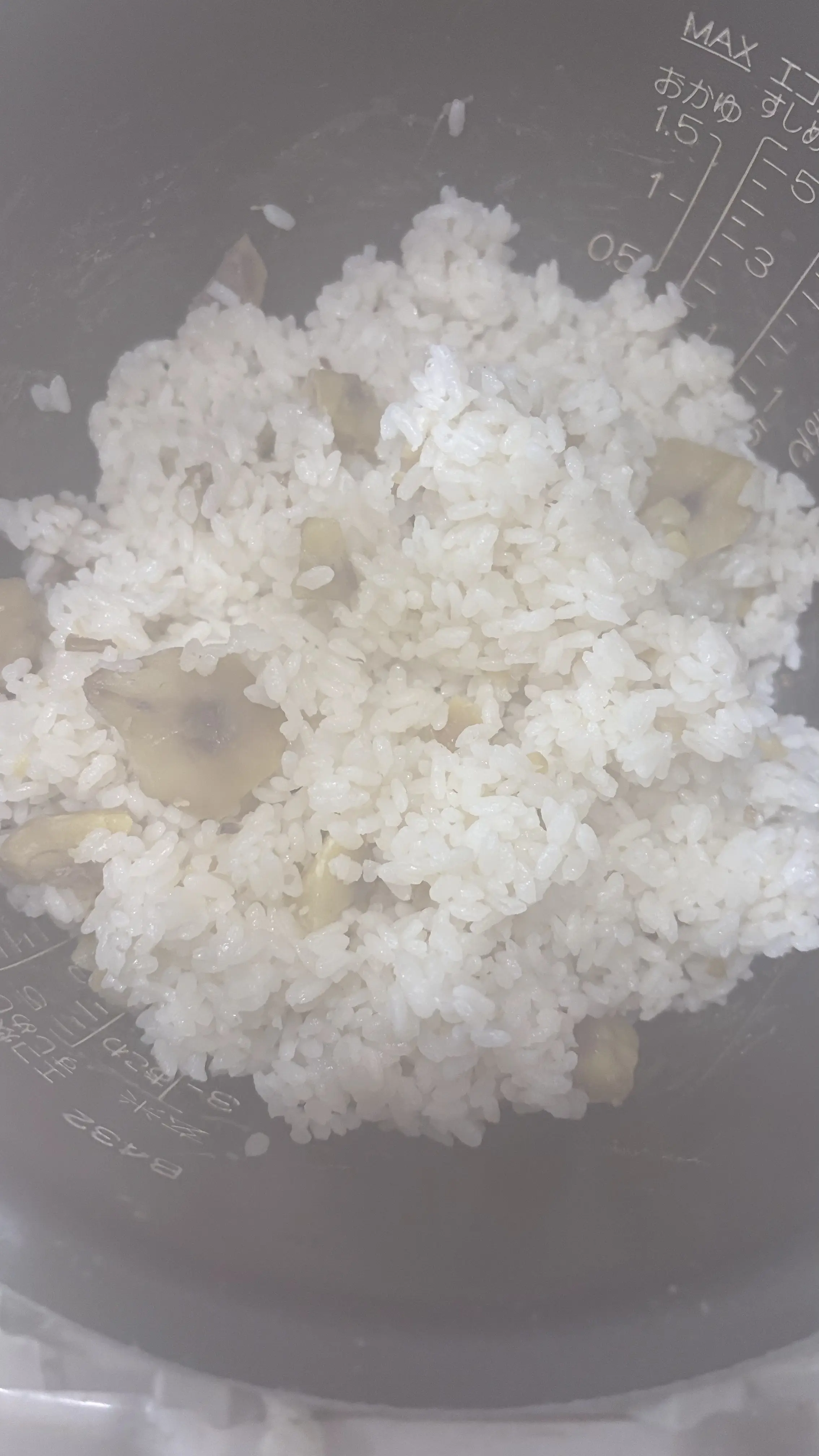 栗ご飯　秋の味覚　くり　モンブラン