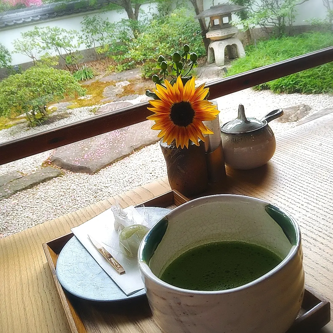 名古屋、徳川園、蘇山荘、和カフェ、お抹茶と和菓子