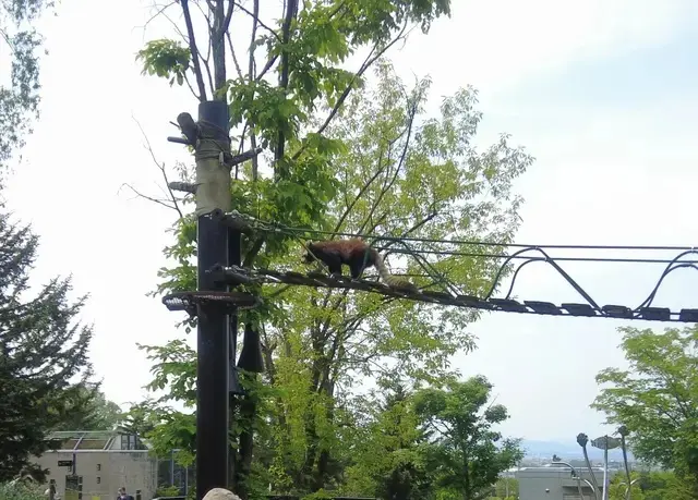 旭川動物園