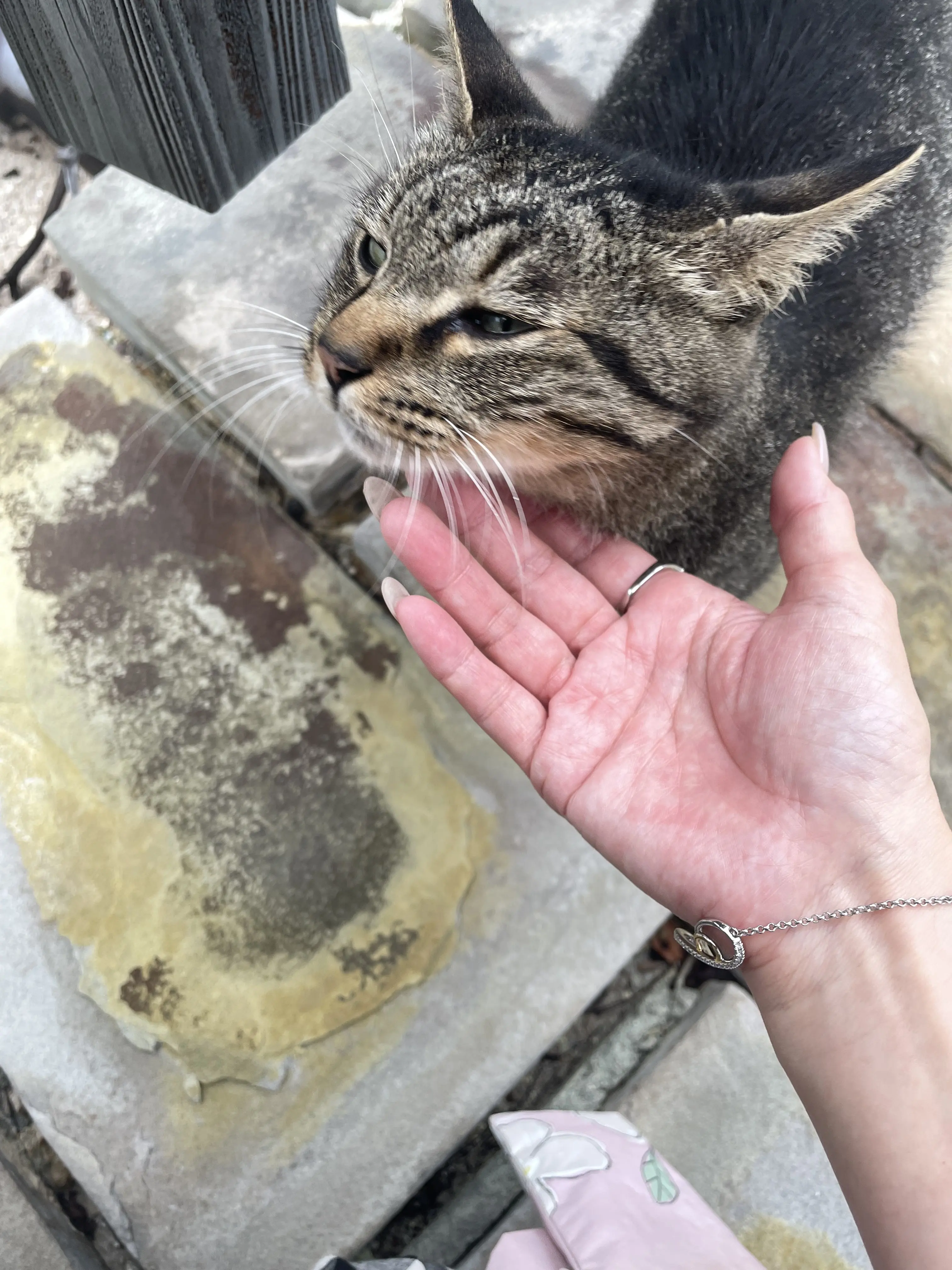 初かもめに乗って長崎へ、そして雲仙地獄巡りをしてきました_1_23