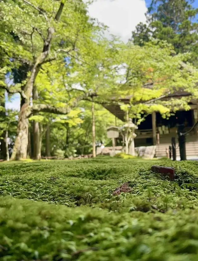 大原 三千院