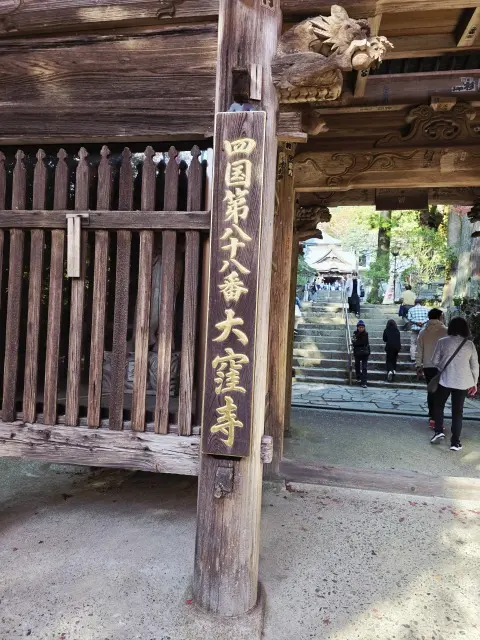 秋の紅葉とランチ_1_6