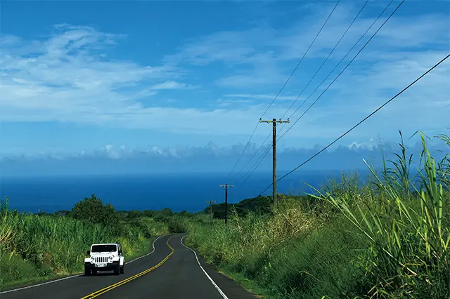 島では壮大に広がる景観の中をドライブ