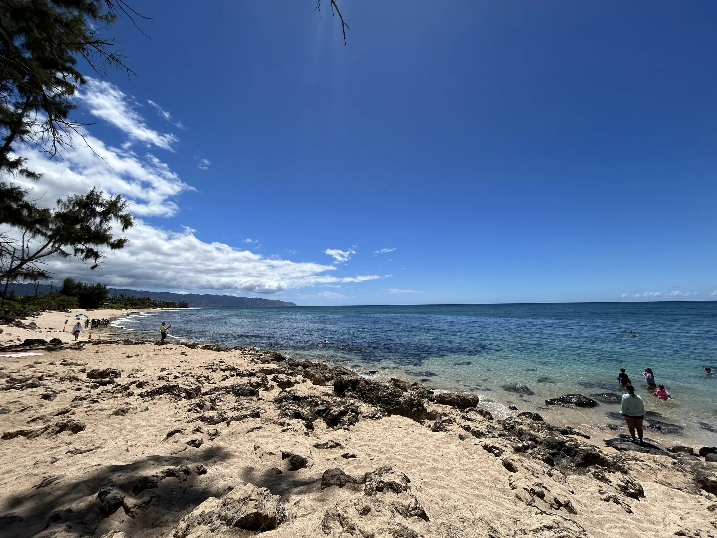 サマーバケーション in Hawaii ~カフェと海とタートルと〜_1_15
