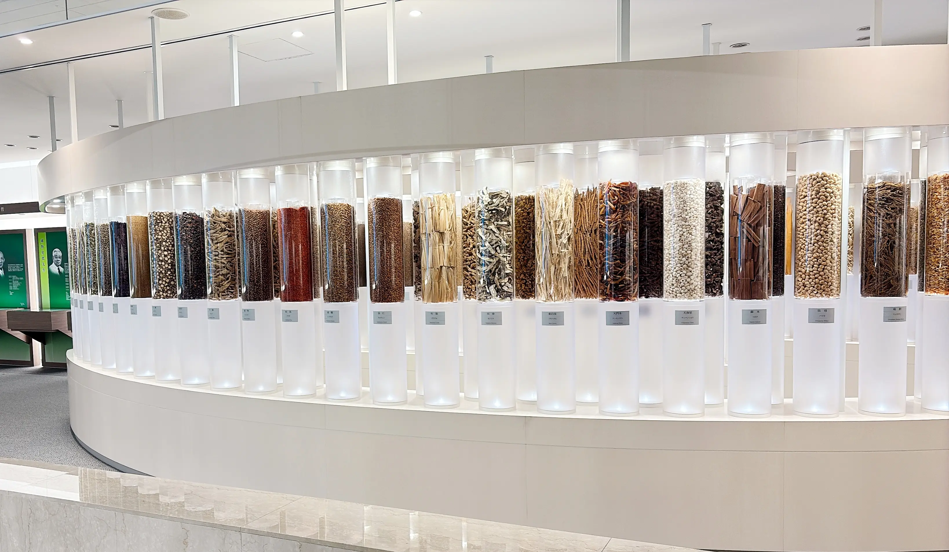 更年期もフレイルも先回り対策が肝心！ その答えを探しに「ツムラ漢方記念館」に行ってみた_1_3