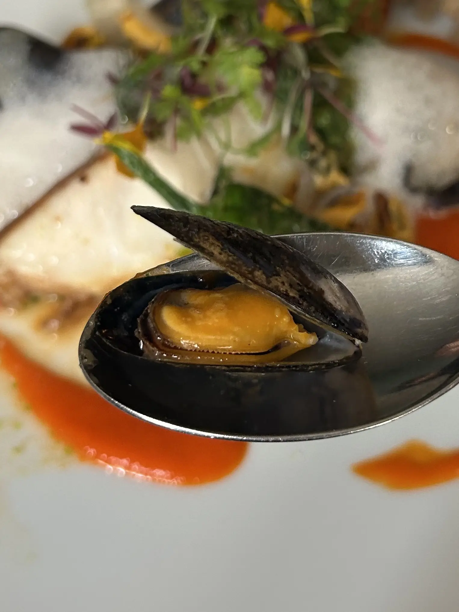 パリ　ランチ　おすすめ　サン＝ジェルマン　「BAILLOTTE」