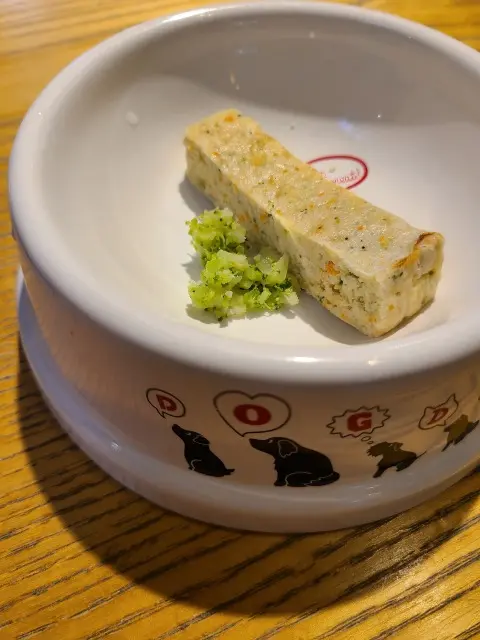 愛犬と元町・中華街へ_1_5