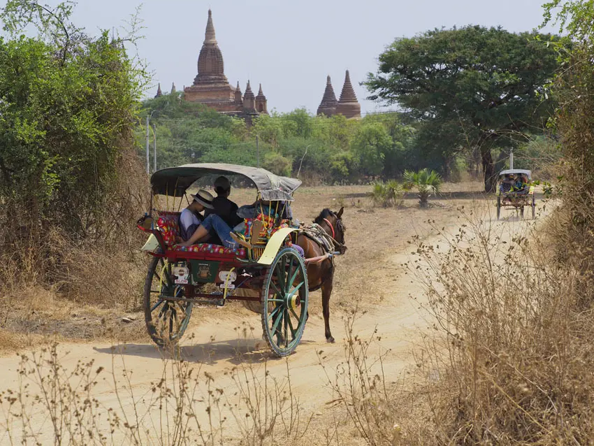 &lt;ミャンマーの旅&gt;見晴るかす三千基のパゴダ、バガン王朝の栄枯盛衰（バガン①）_1_5-1