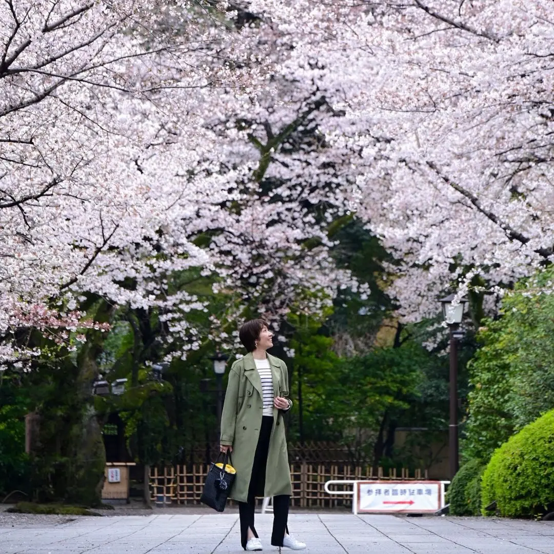ZARAのコートを羽織って、誰もいない桜の名所へ