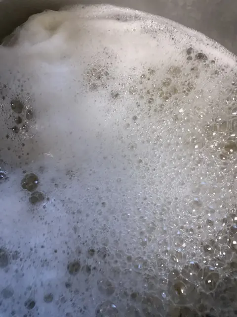 炊飯器で時短！手作り味噌で作る「シソ味噌」_1_4