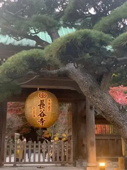 もしもおみくじで『半吉』をひいたら…