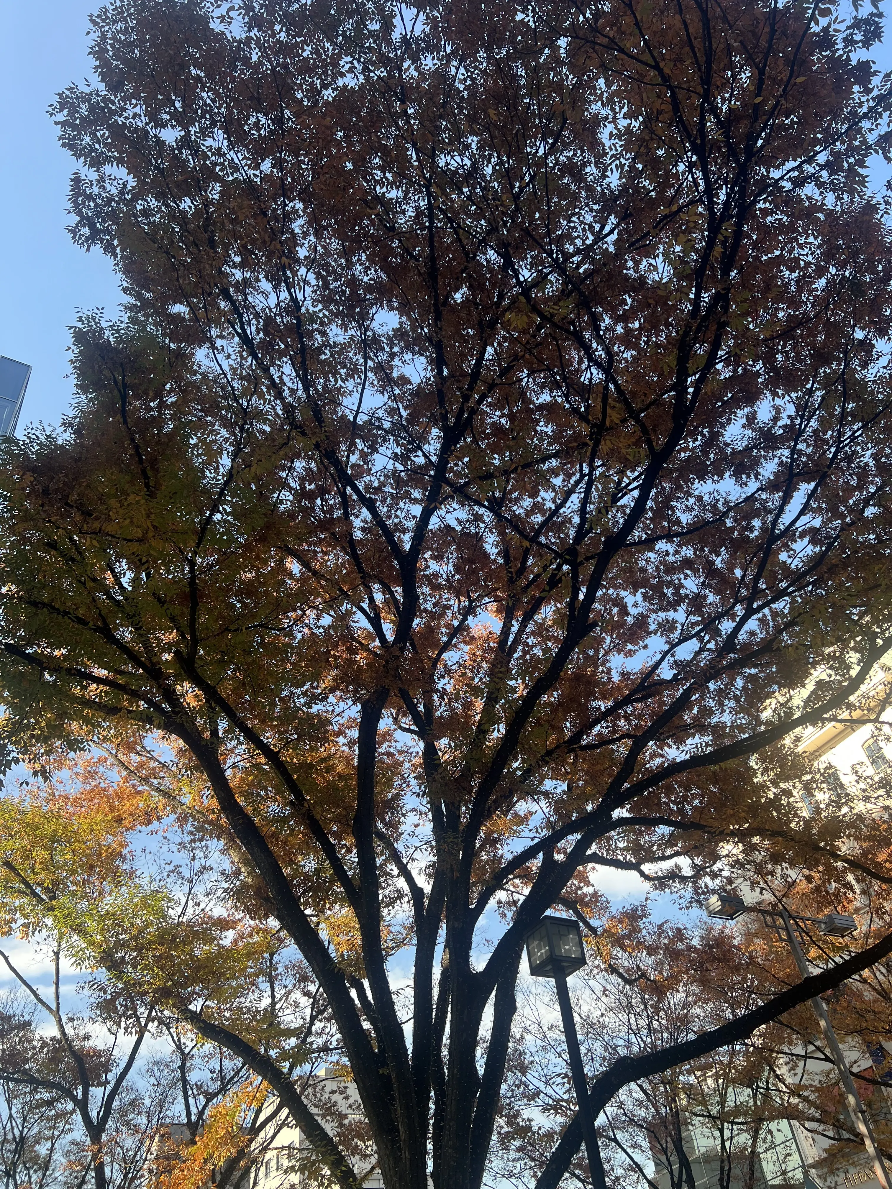 エクラ華組リアルおしゃれSNAP撮影@わたしの休日の過ごし方。_1_8