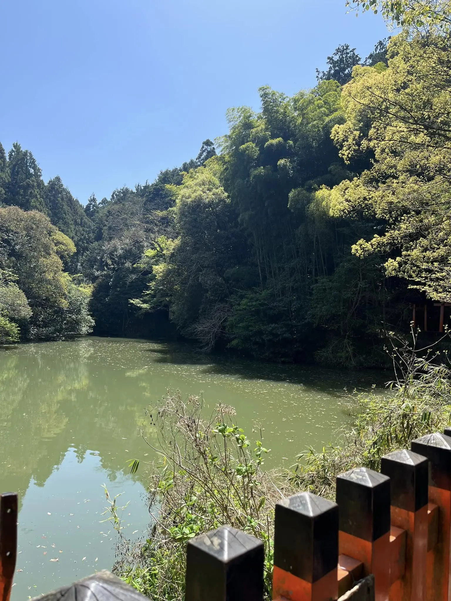 京都日帰り旅行_1_5-3