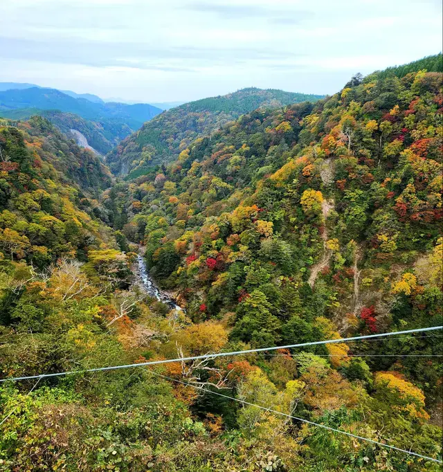大分県九重町(ここのえまち)にある「九重"夢"大吊橋」