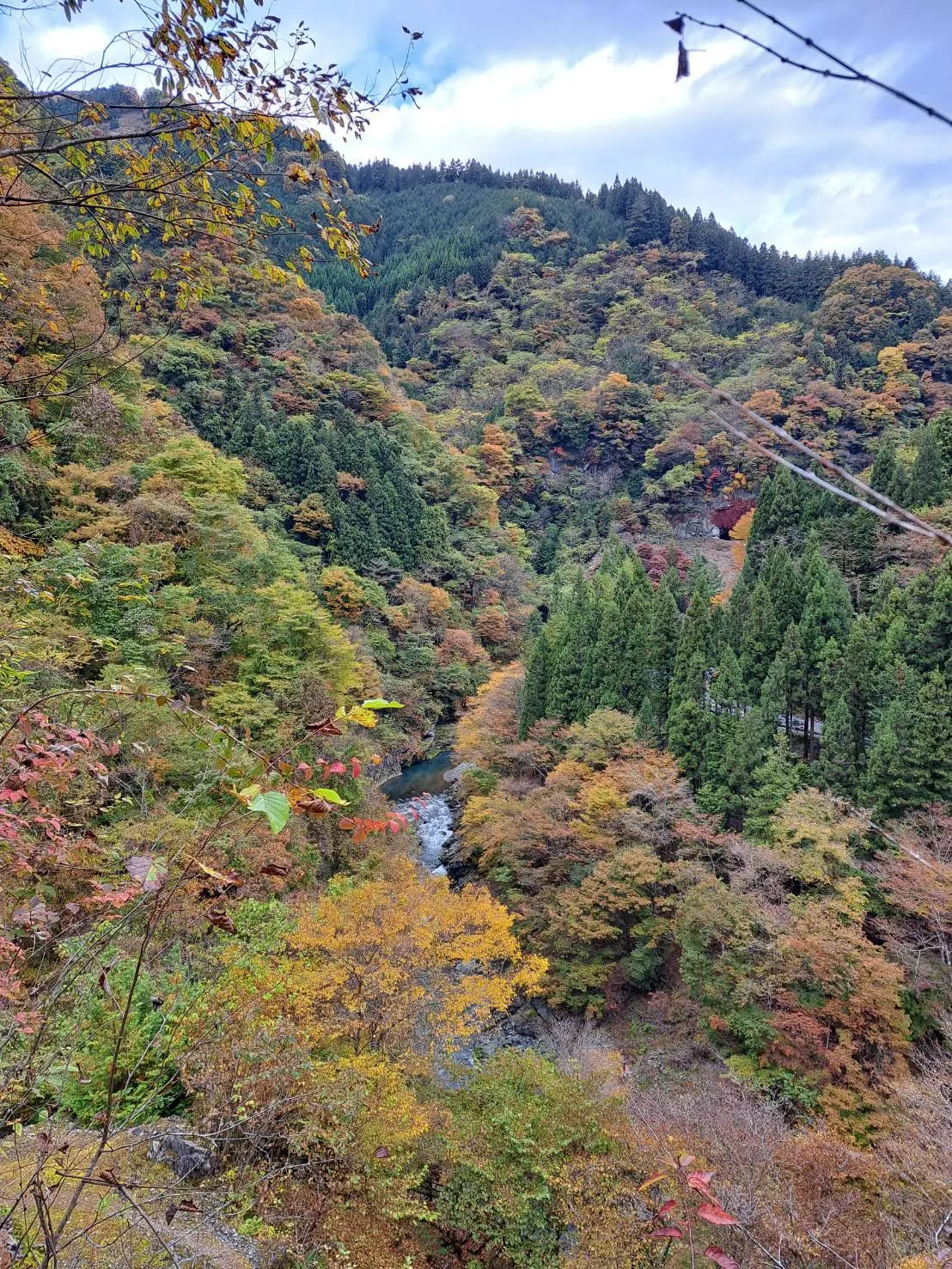 参道入り口付近の景色⛰️既に高いです