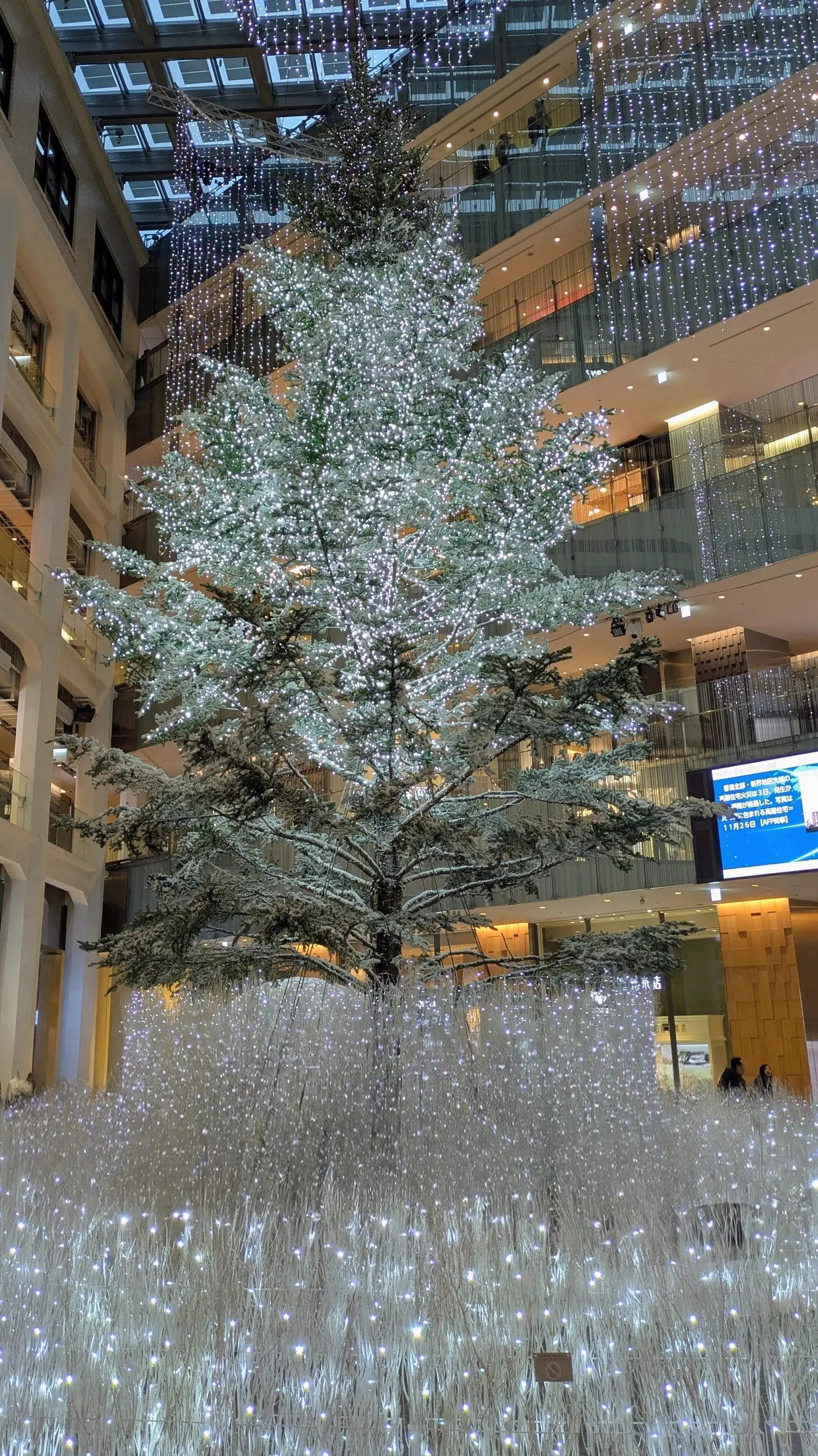 KITTE　イルミネーション　ツリー