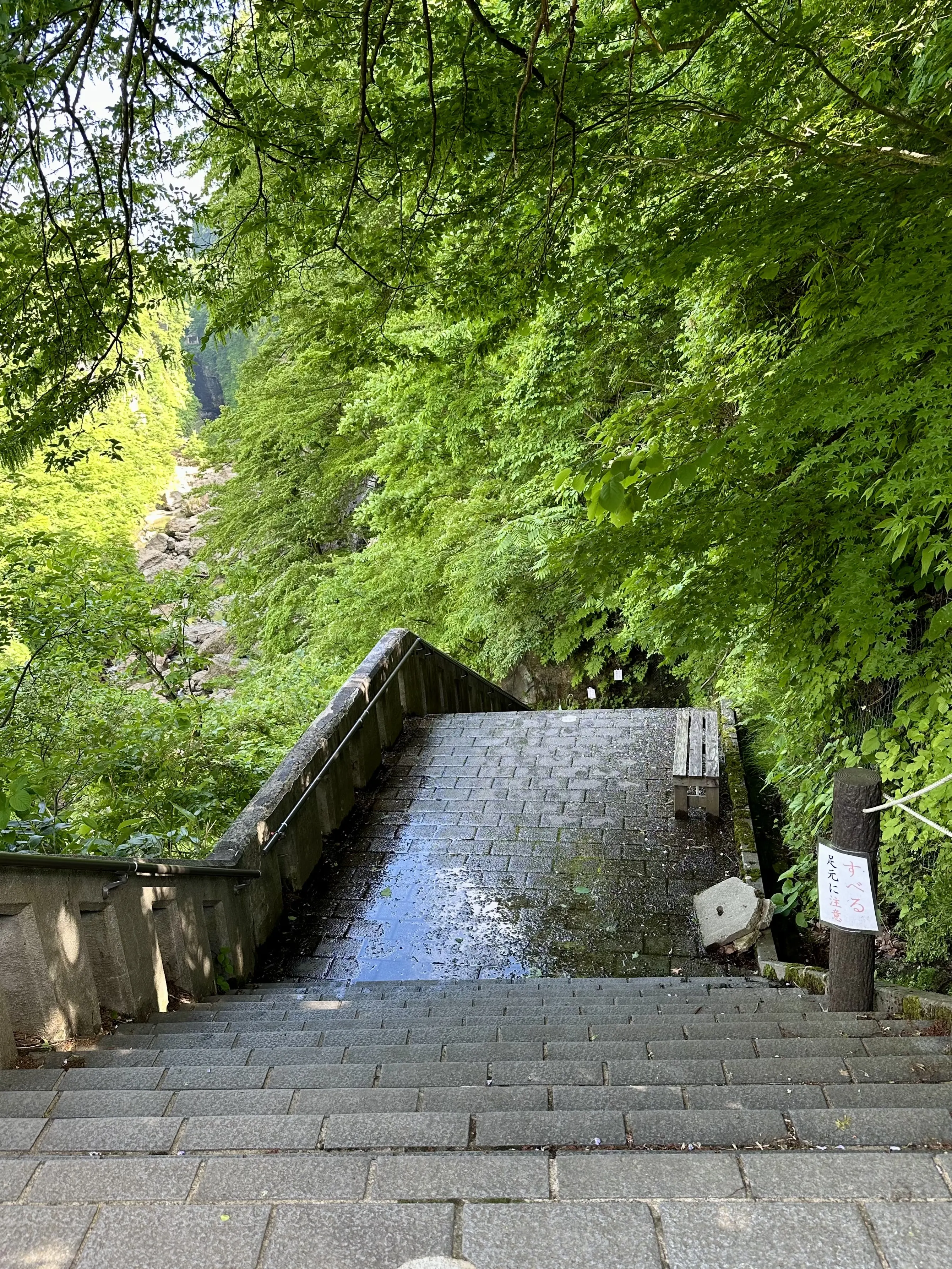 【秋田】雄大な自然と温泉を楽しむ旅ー秋田県小安峡温泉_1_23