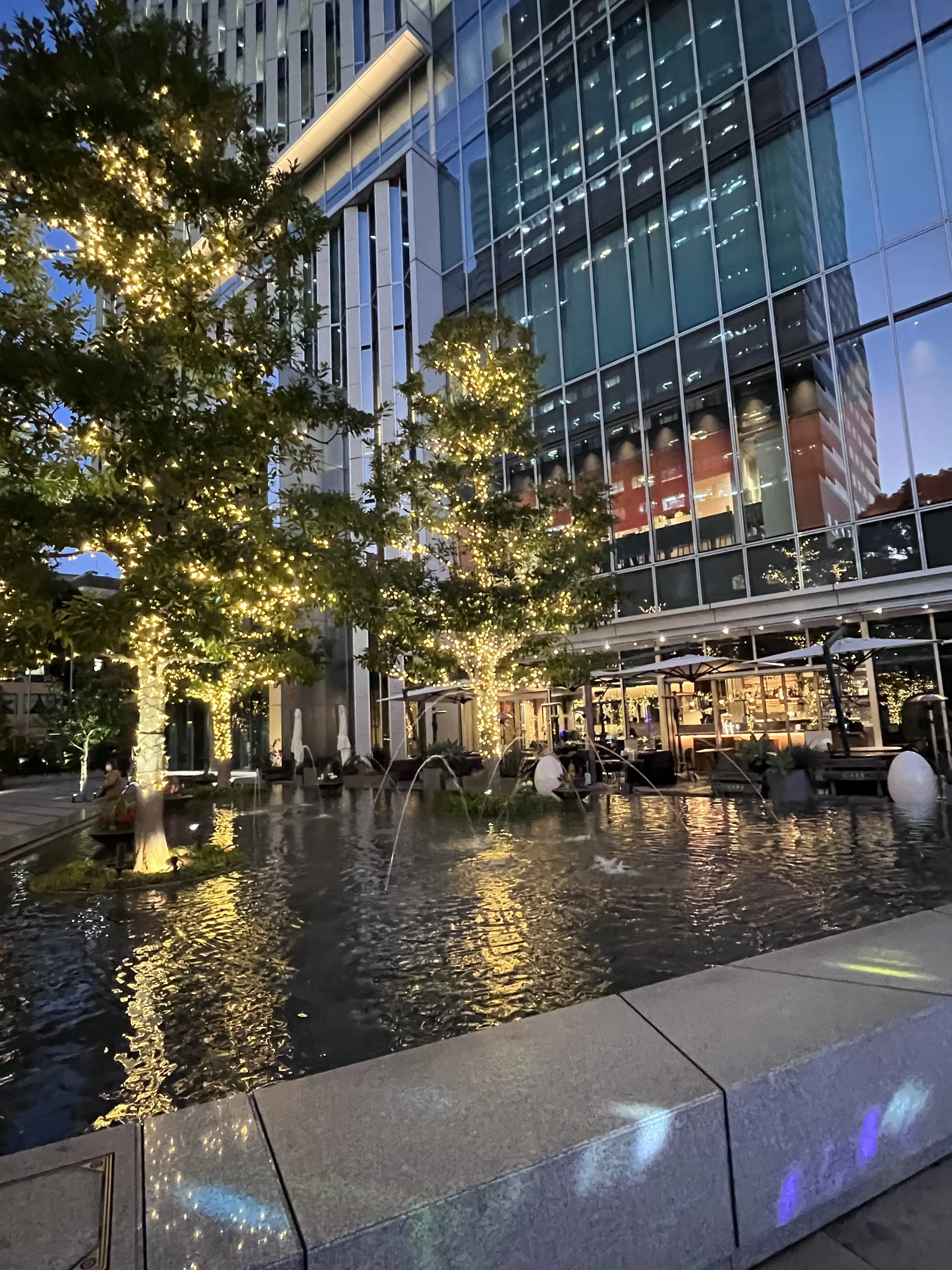 続・続・Jマダムメンバーとキラキラ観賞☆⭐︎☆_1_16-2