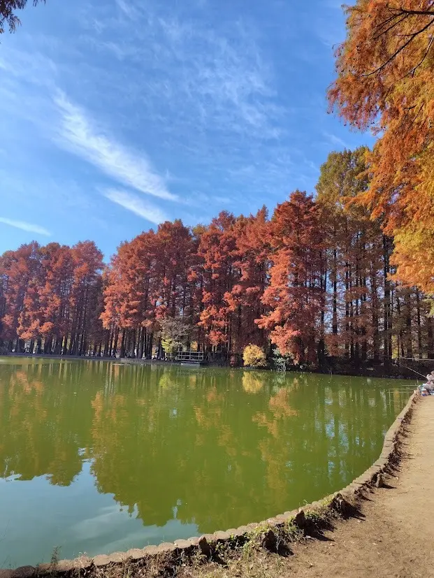 【H&amp;M】大人可愛いレオパードアウターで紅葉散策_1_2