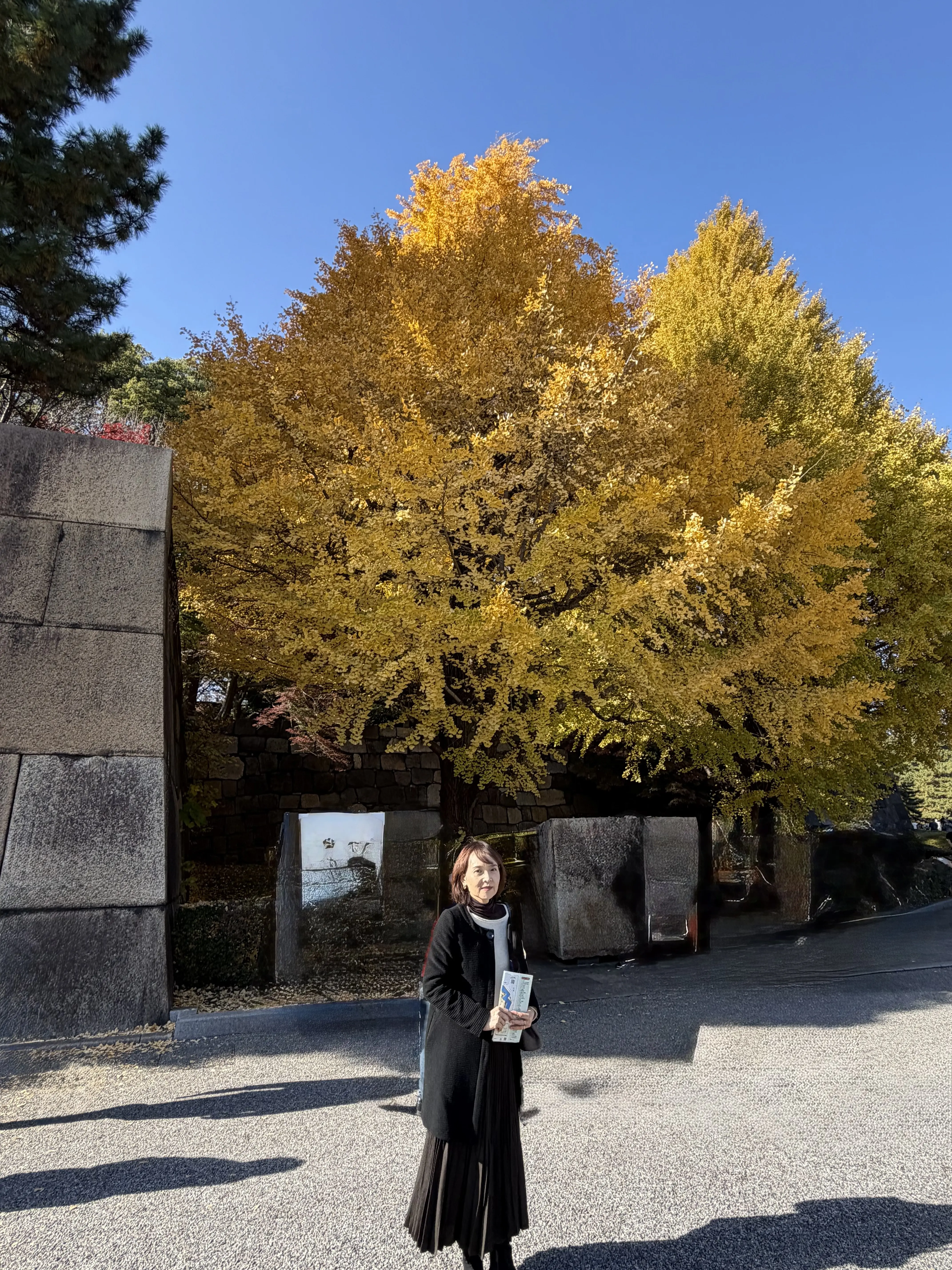 東御苑の紅葉（銀杏）