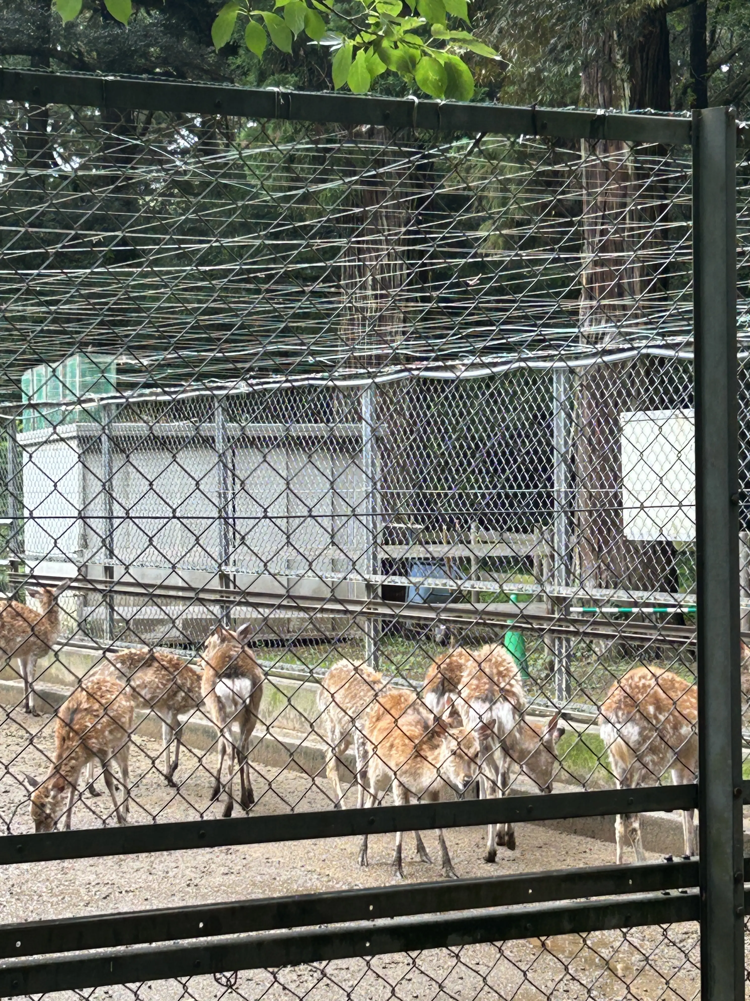 50代からの新しい旅　東京から日帰りで名社めぐり①_1_14