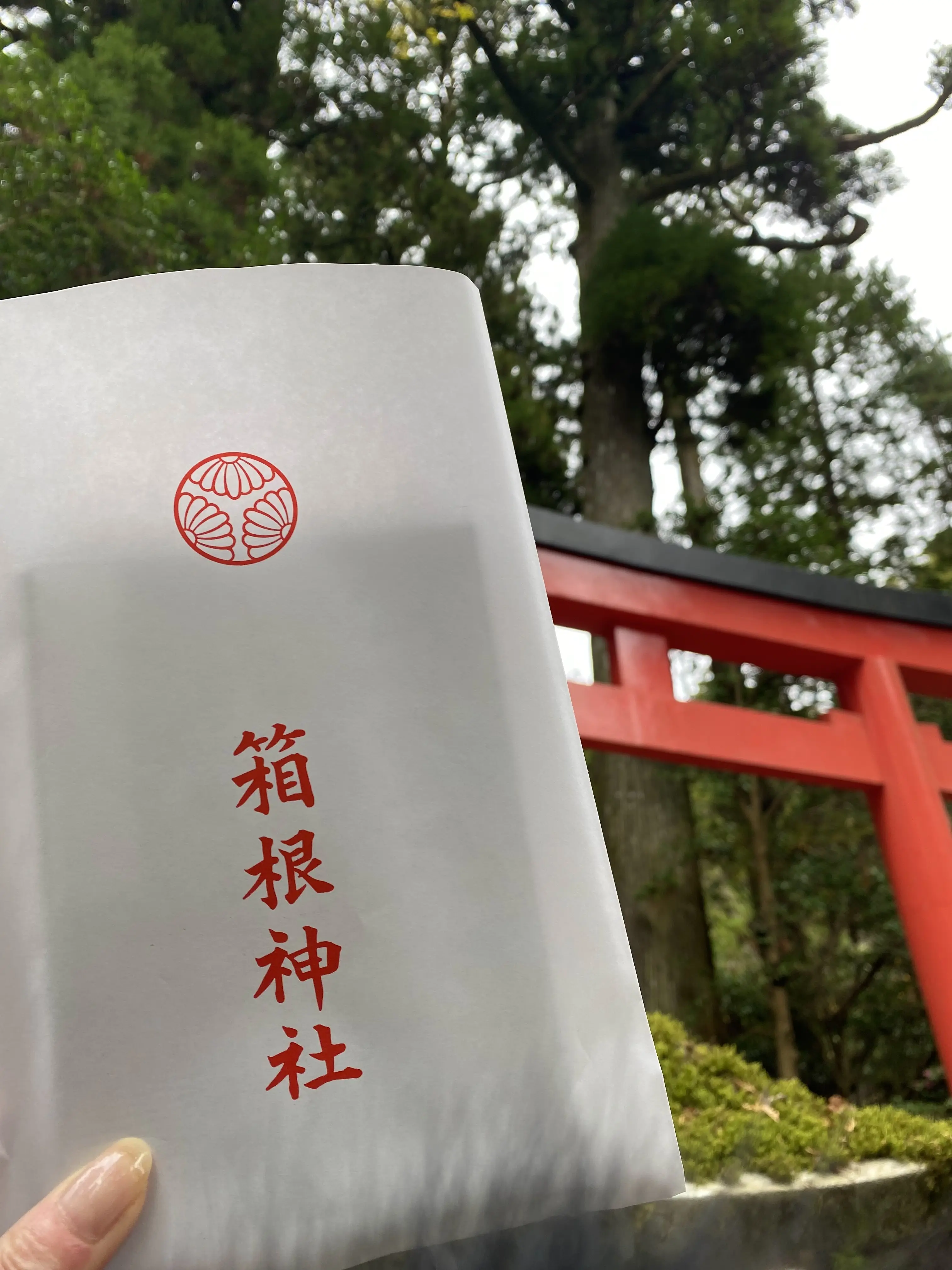 パワースポット「箱根神社」へ_1_4