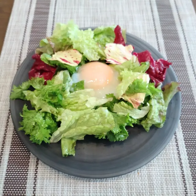 フランス料理　ラファレーズ　前菜　スープ　サラダ