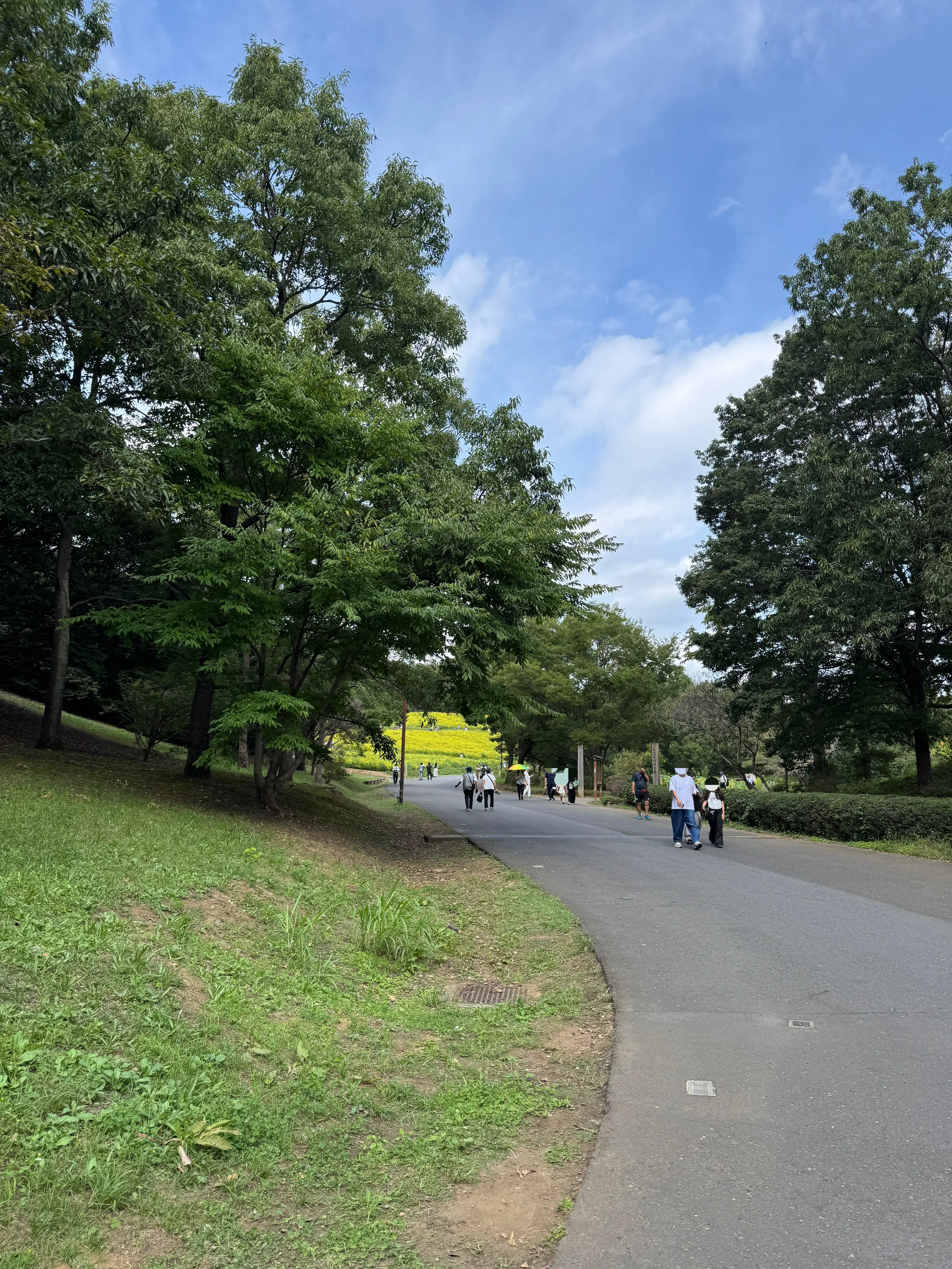 昭和記念公園