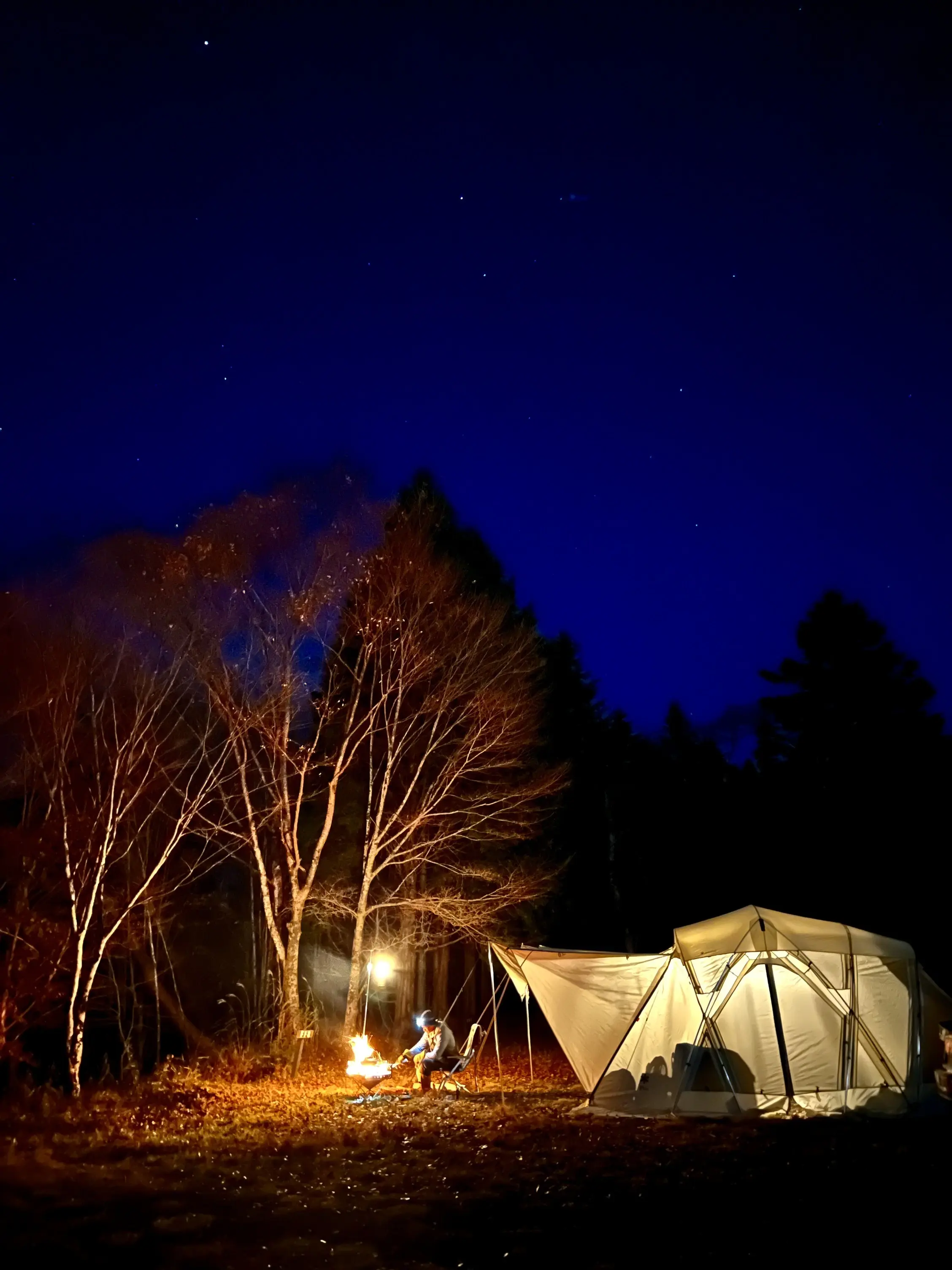 キャンプ場の夜、焚き火