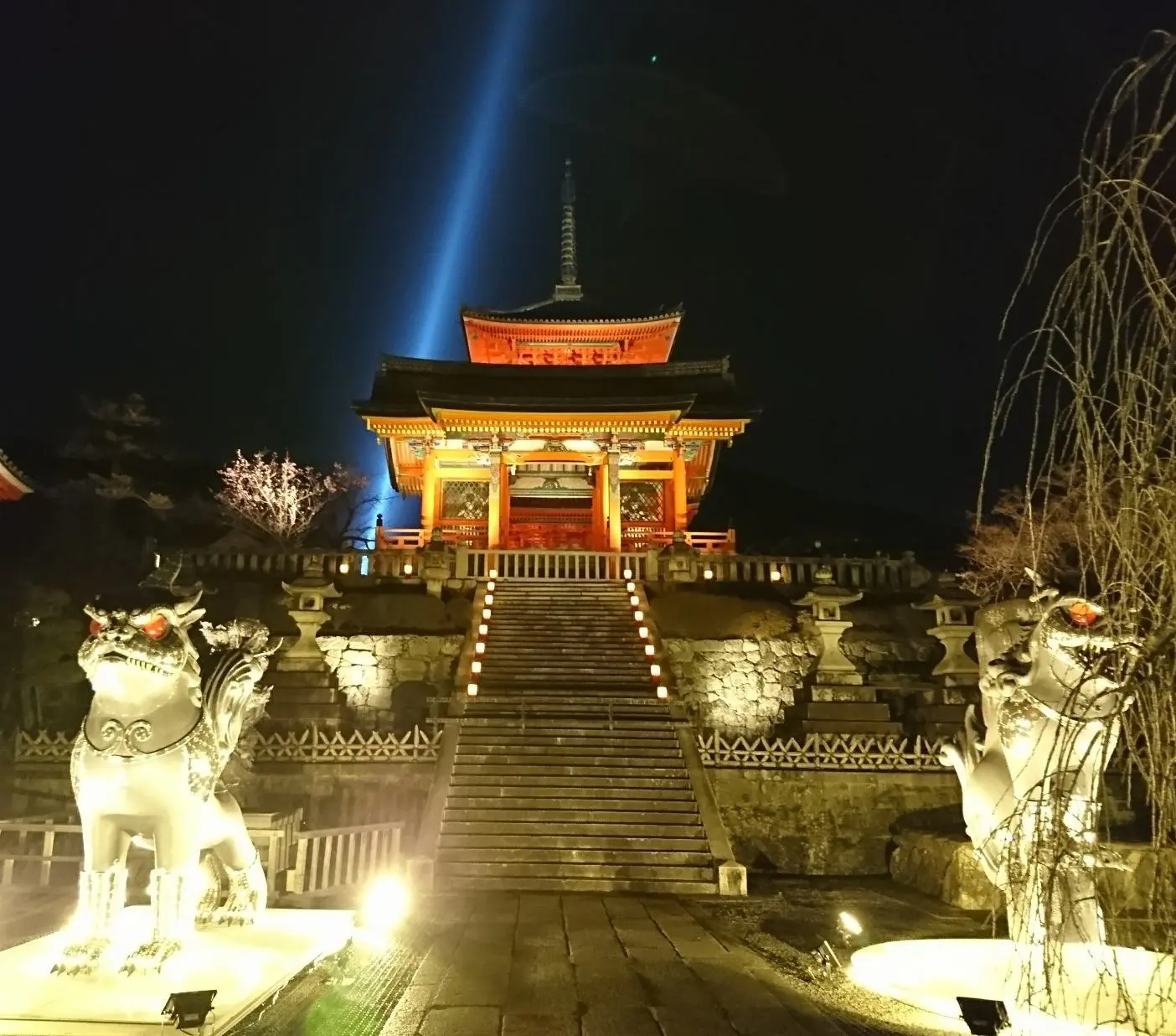 誕生日②ホテル青龍と京都東山花灯路_1_9-2