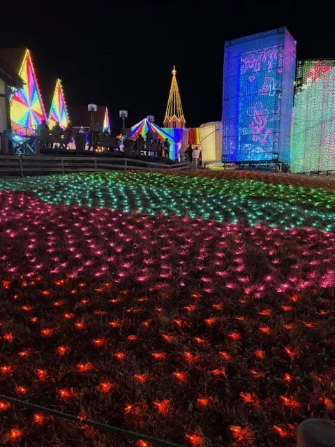 ドイツ村のウィンターイルミネーション素敵でした♪_1_2-2