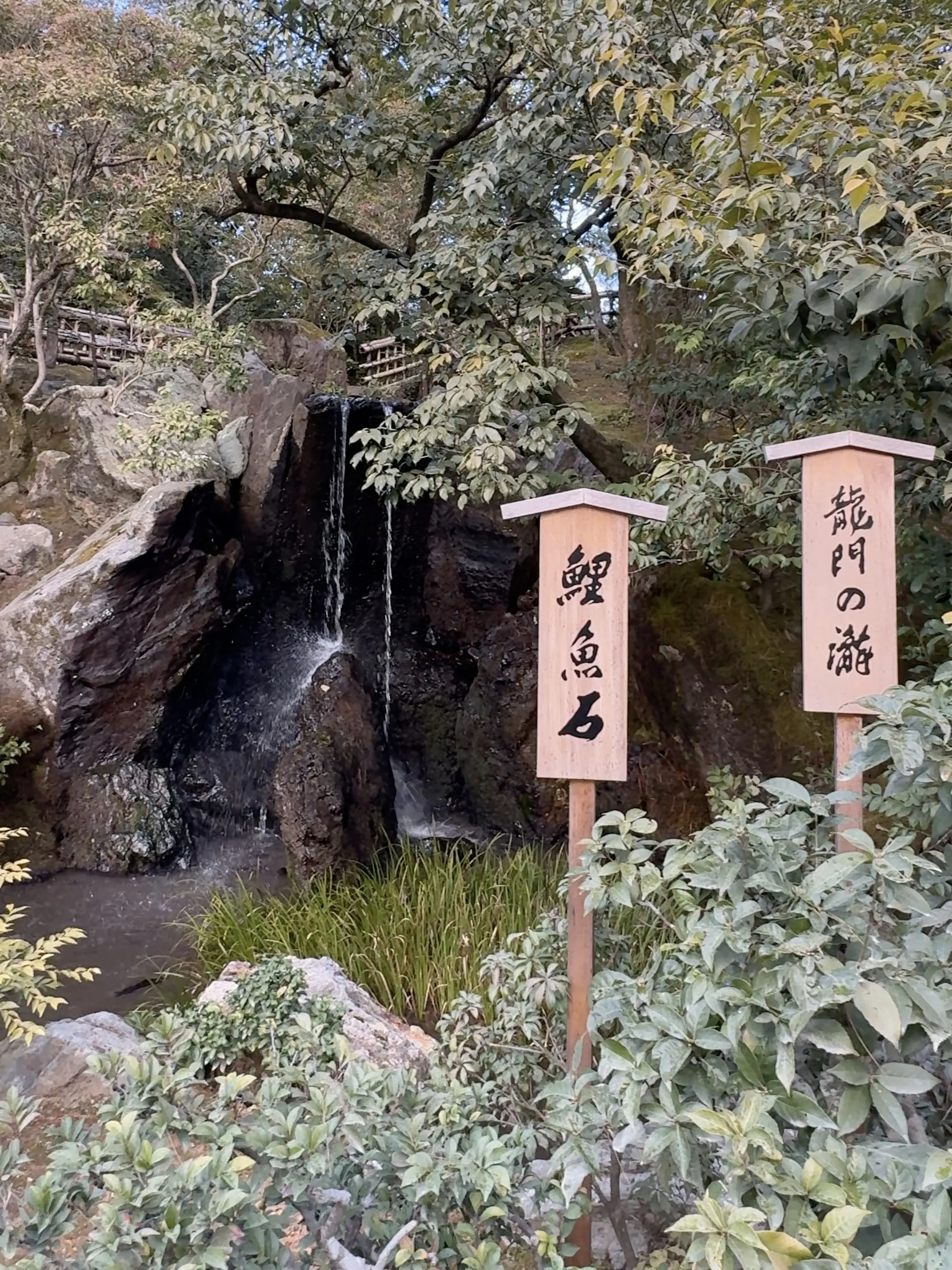  お正月の帰省と、京都で過ごした静かな時間_1_9-1