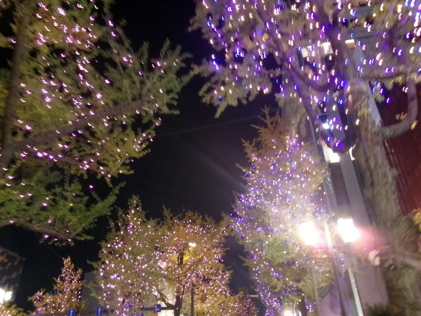 【ホテル日航大阪】　家族で鉄板焼きディナー　幸せ時間_1_15