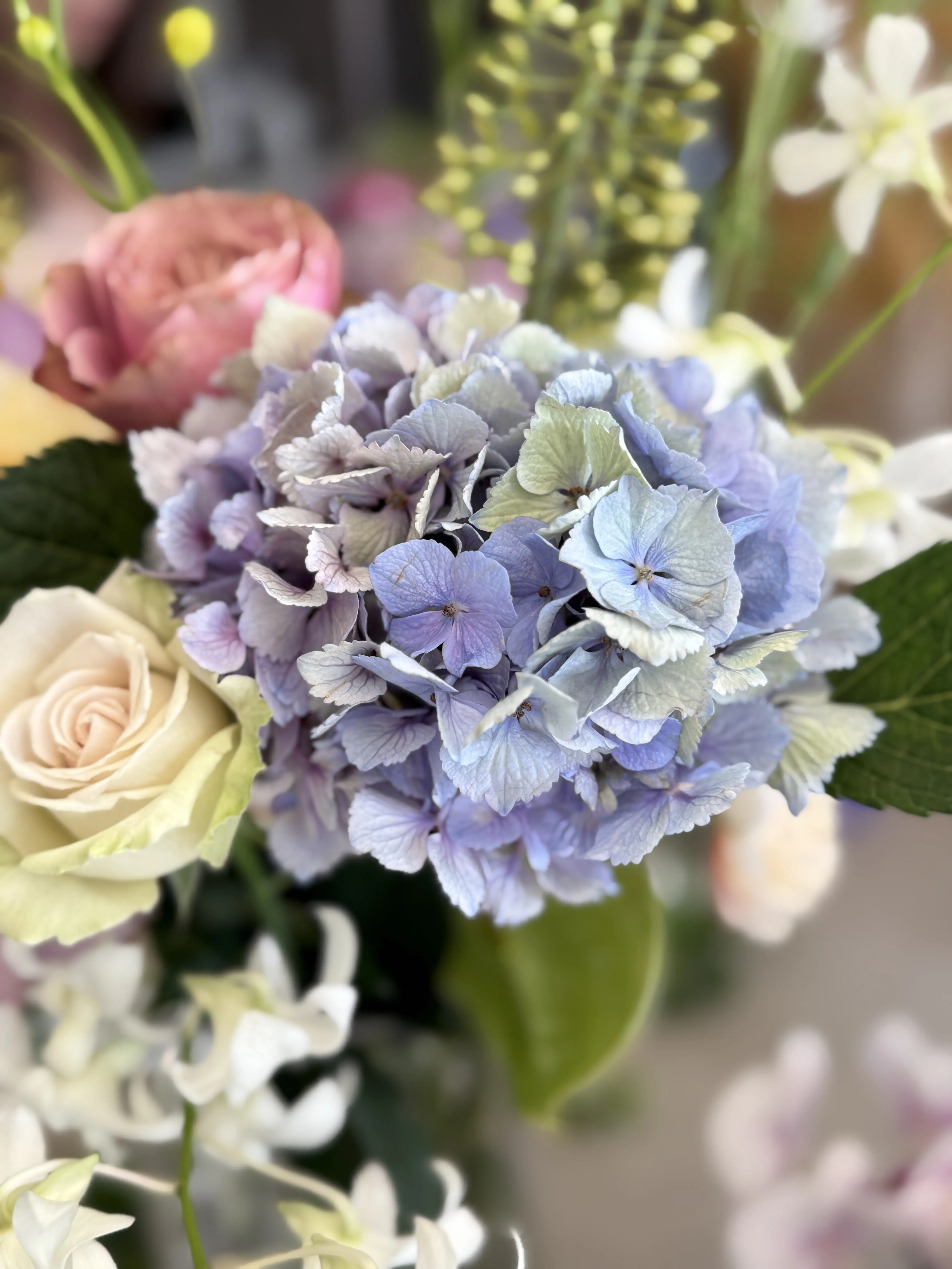 Chez Sakura　紫陽花