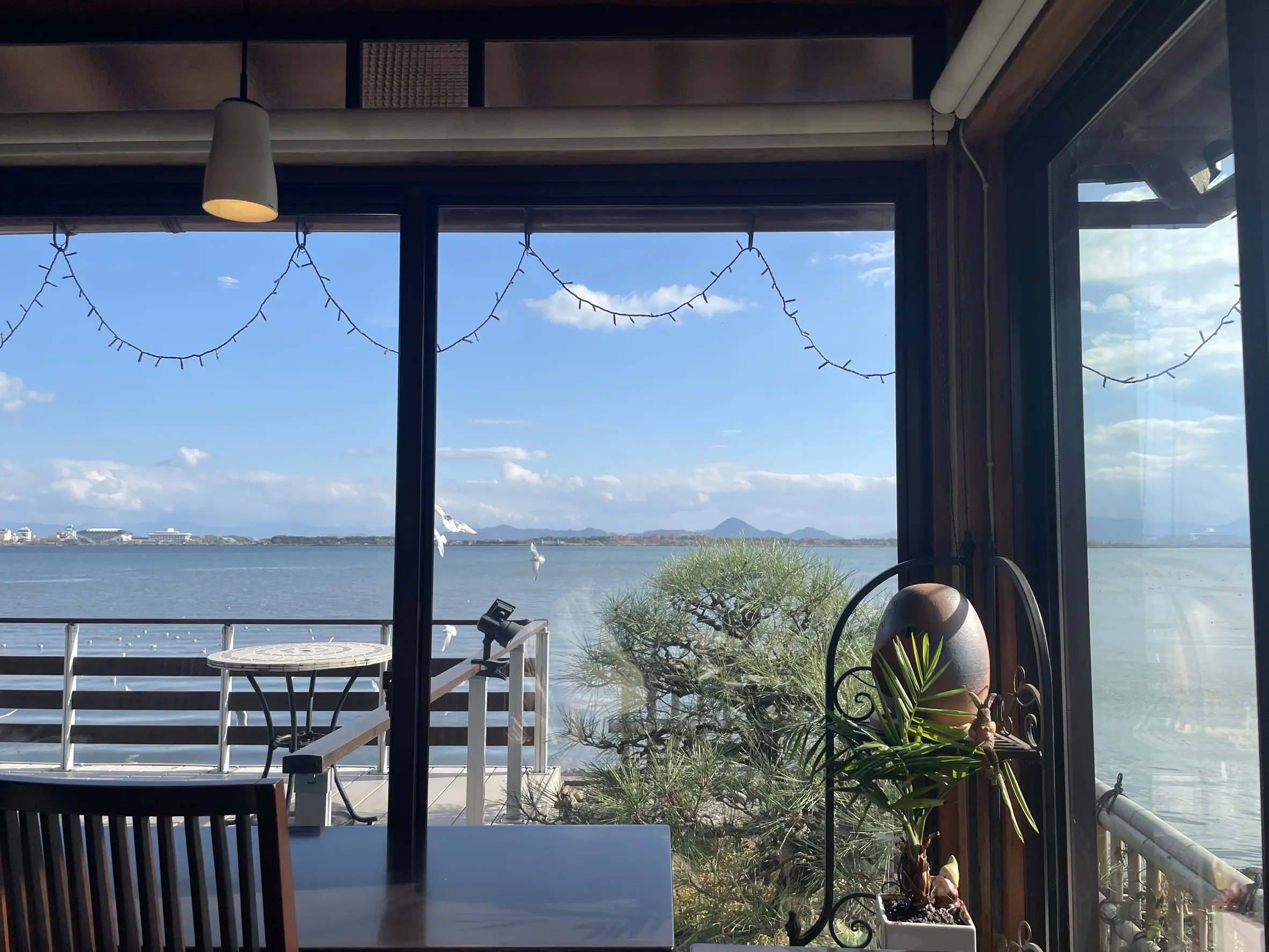 プチ・クリスマス気分を味わいに出かけました。_1_12