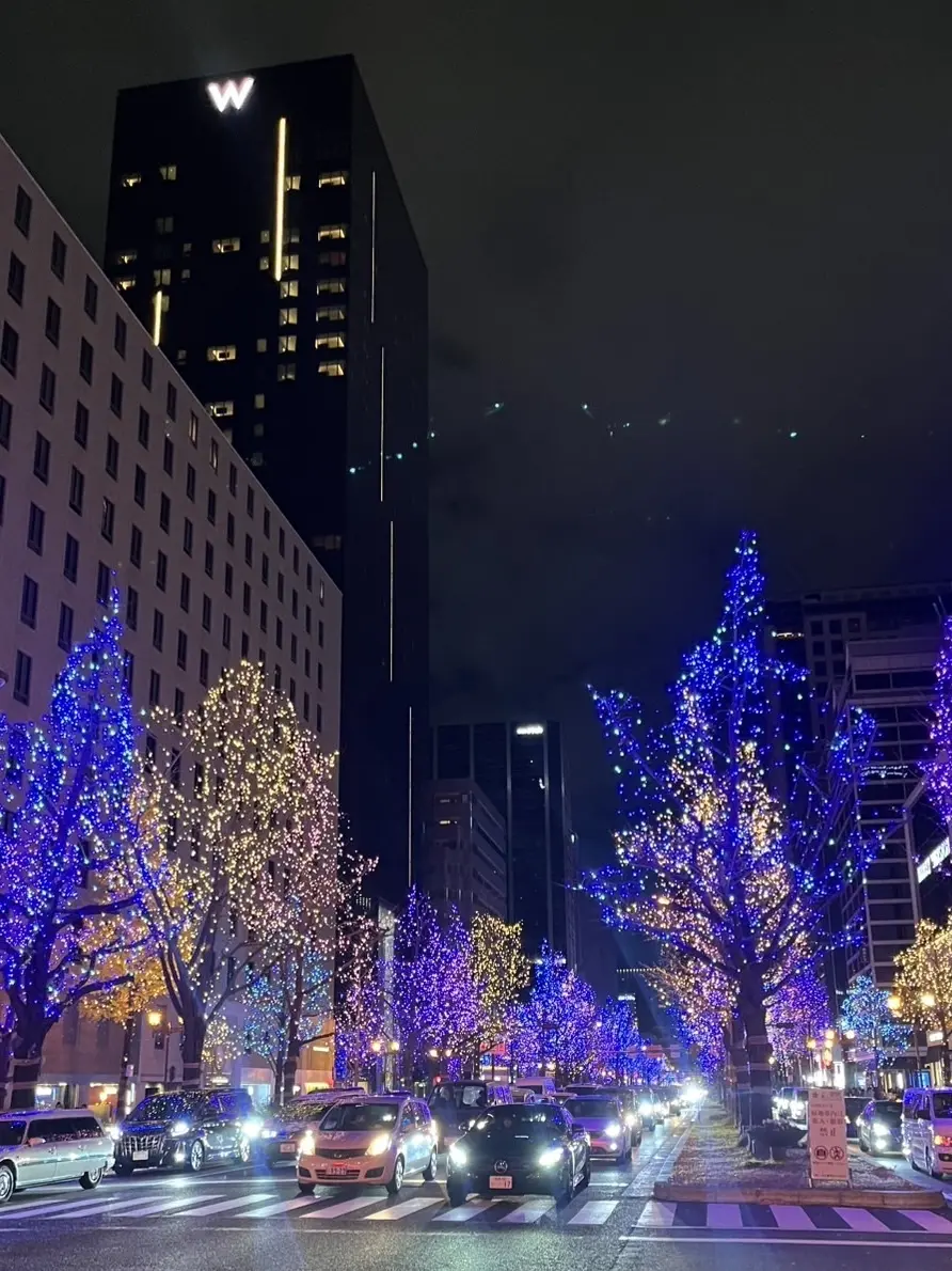 イルミネーションが煌びやかな御堂筋✨「W大阪」へ✨_1_2-1