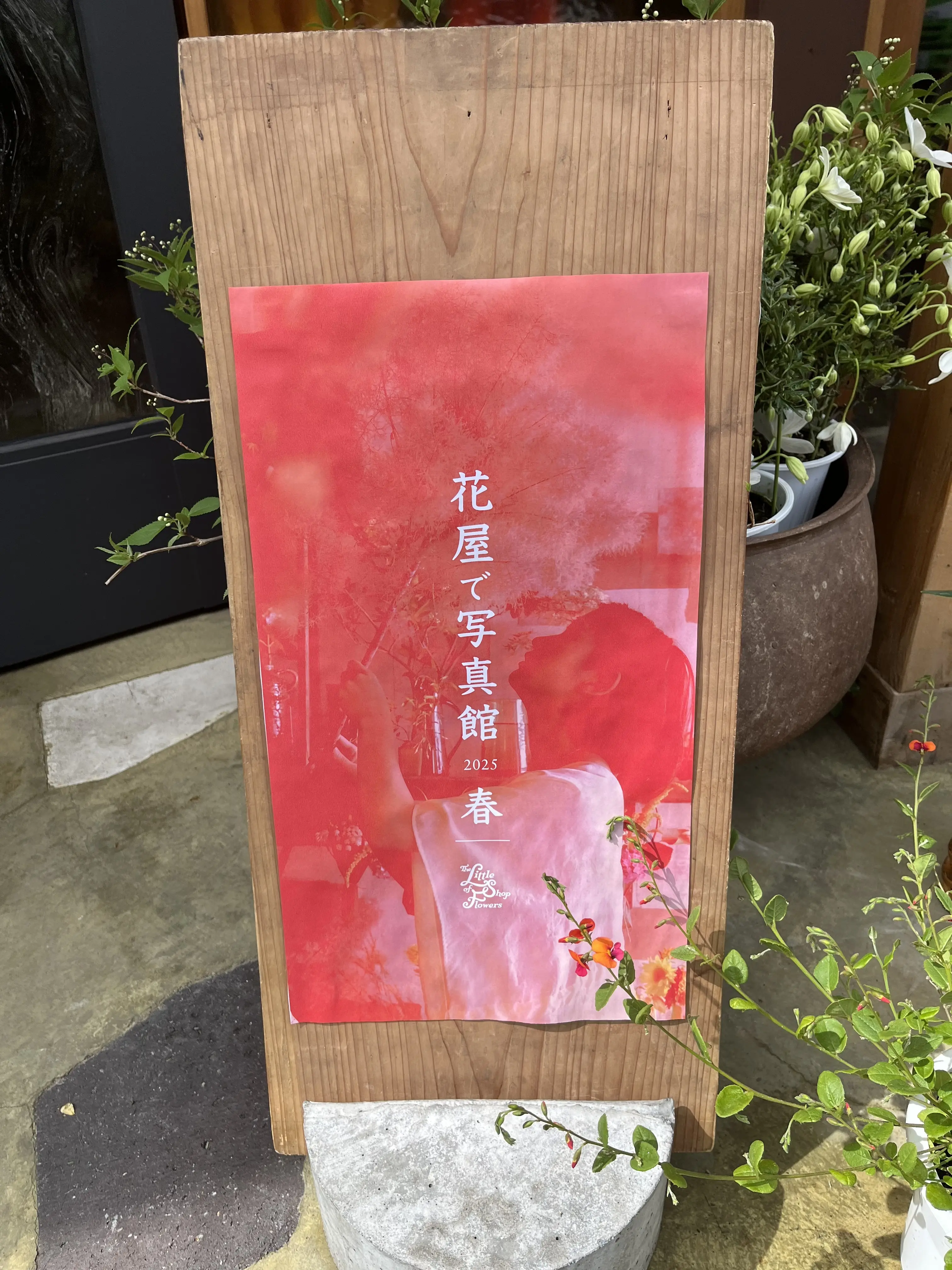 花屋で写真館_1_2