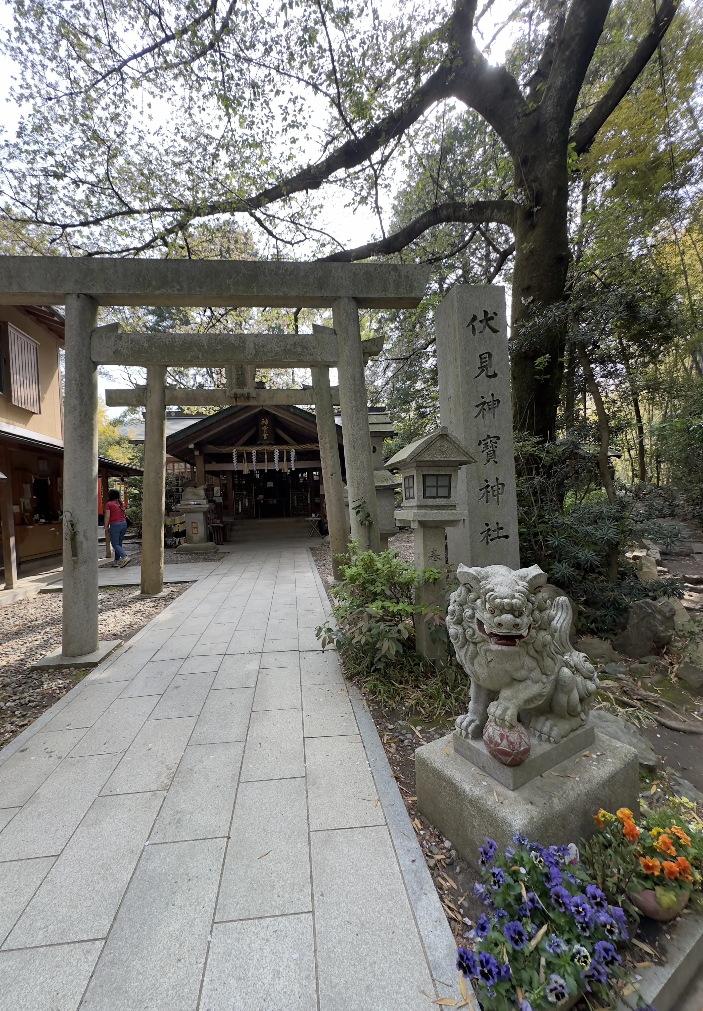 京都小旅行_1_5-2