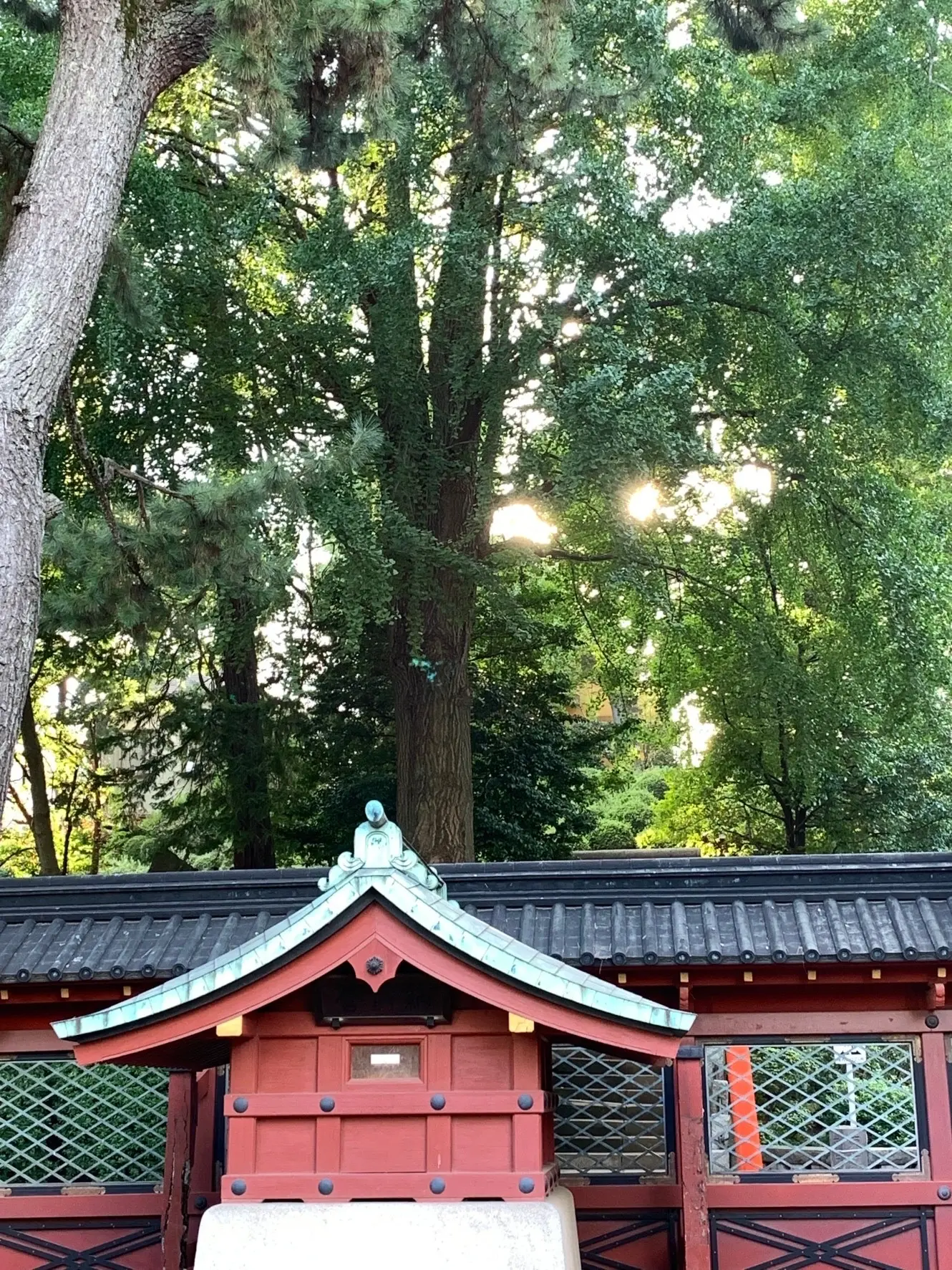光がさす根津神社