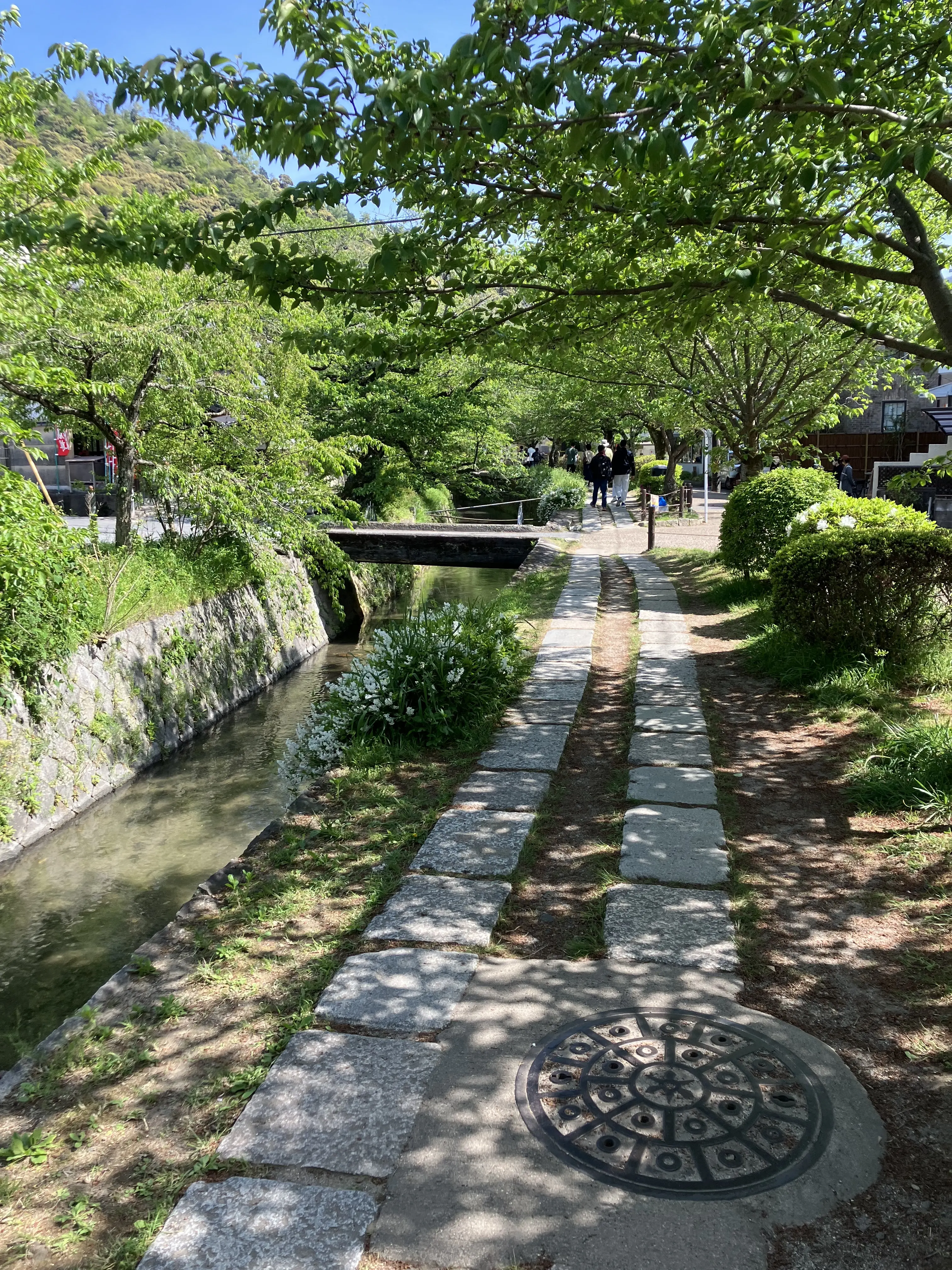 京都観光　京都おでかけ　哲学の道　jマダムブログ　京都　銀閣寺