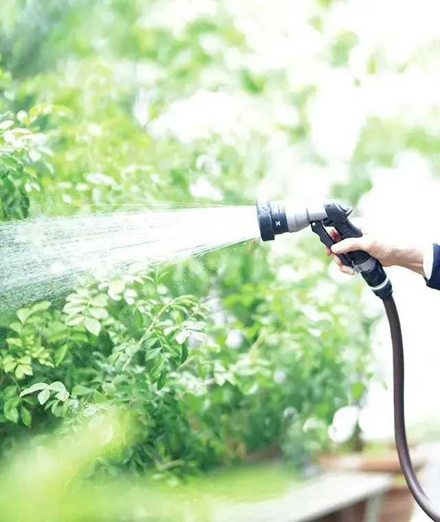 庭の植物にも、人間にもたっぷりの水を