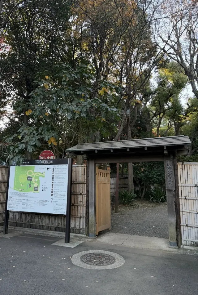 駒場公園の文壇カフェとイチョウ舞い散る銀杏並木_1_4