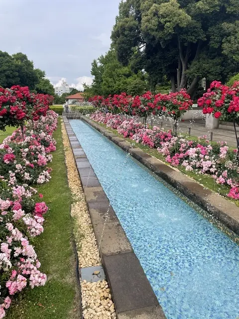 外交官の家のまえの庭園