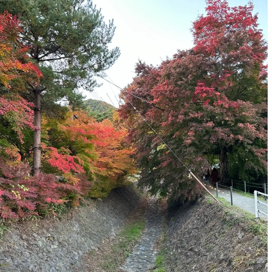 山梨県へ紅葉狩りに行ってきました_1_8