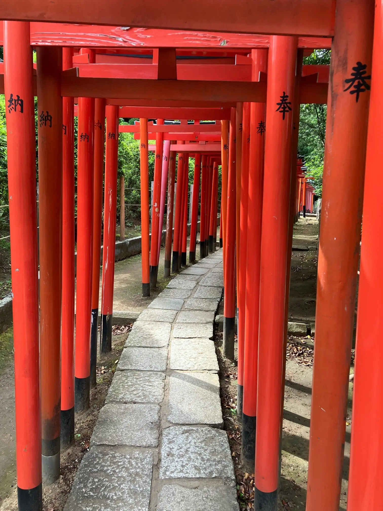 夏詣 根津神社 かざくるま祭り 千本鳥居 銭湯カフェ MIYANOYU 宮野湯 神社 御朱印 御朱印散歩 切り絵御朱印 カフェ MATCHA&ESPRESSO MIYANO-YU